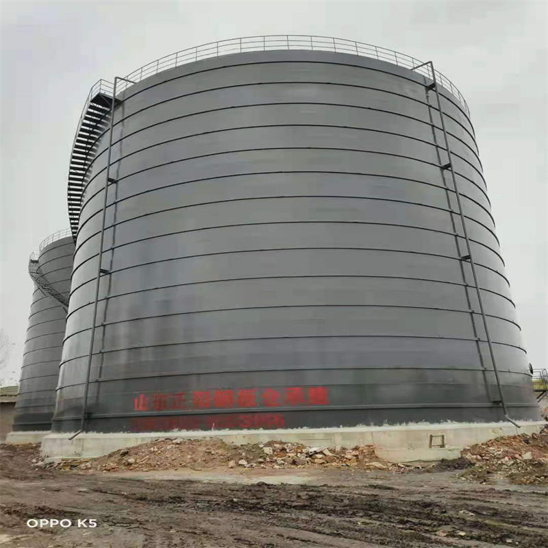 长兴3万吨大型钢板库